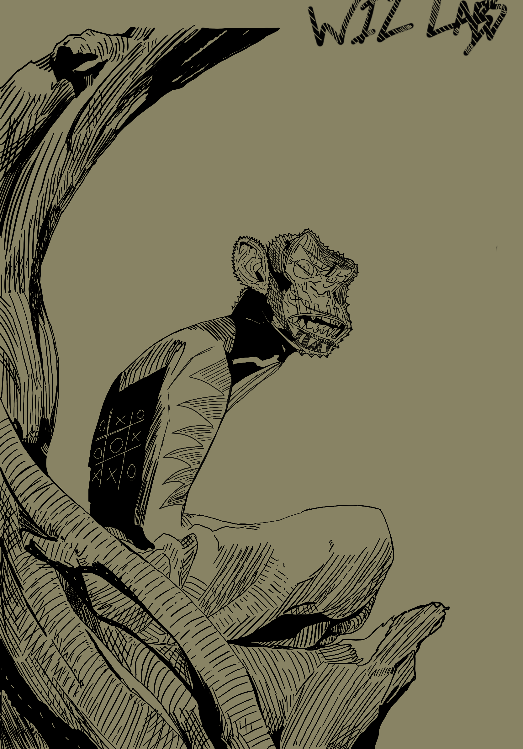 Wiz Labs banner